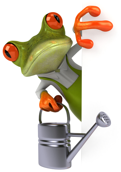 Frosch mit Gießkanne als Blickfang für das Stellenangebot