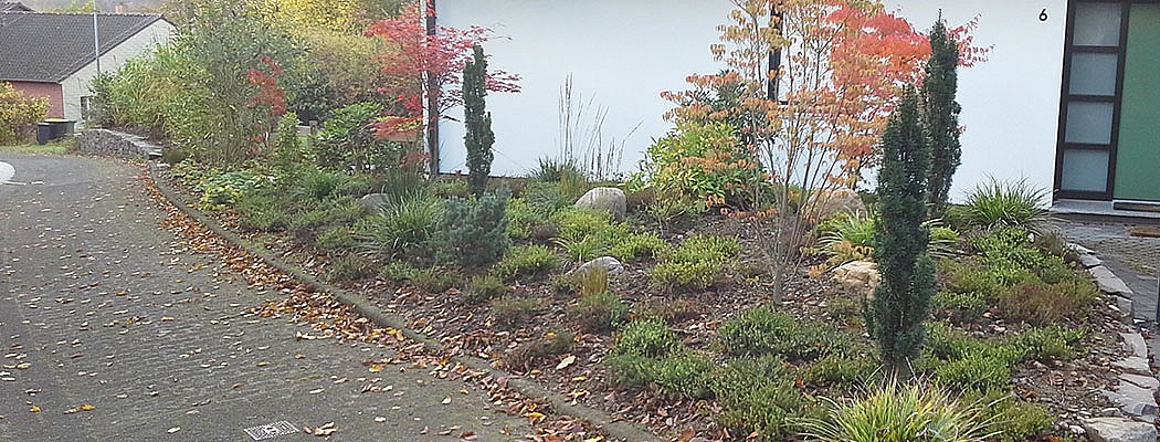 Symbolfoto Gartenbepflanzung