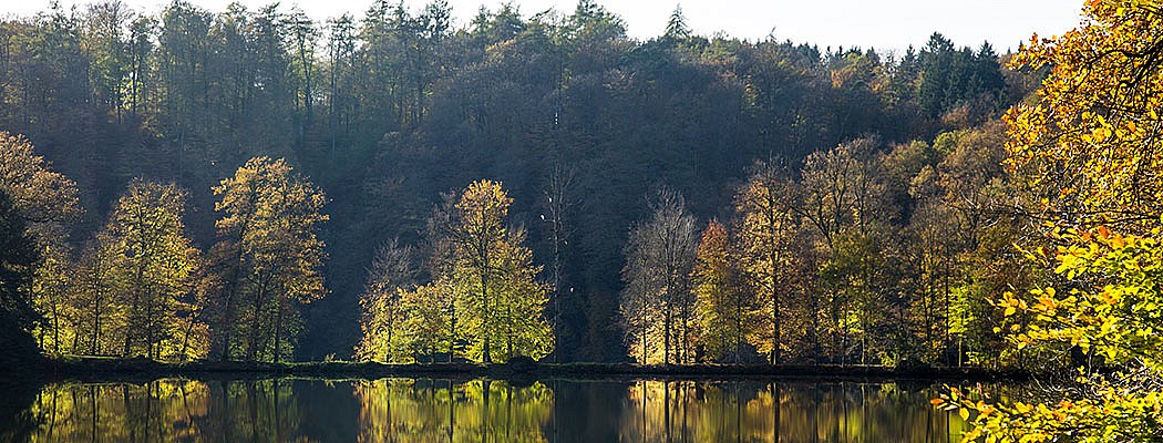 Symbolfoto Landingpages/neunkirchen_seelscheid